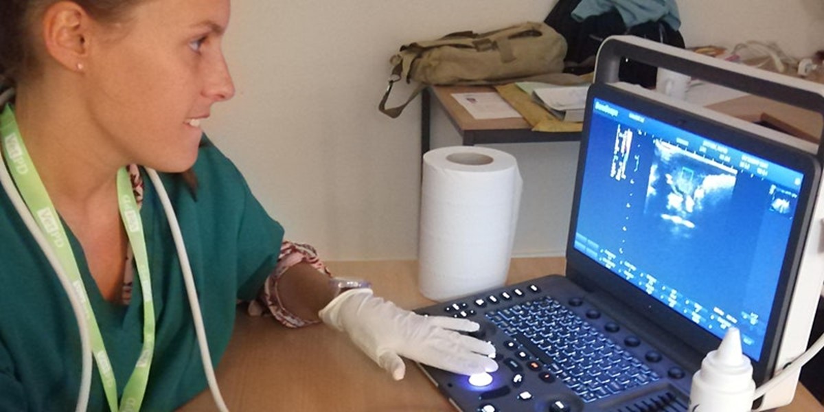 Remote Small Animal Ultrasound course for Veterinarians Celtic SMR
