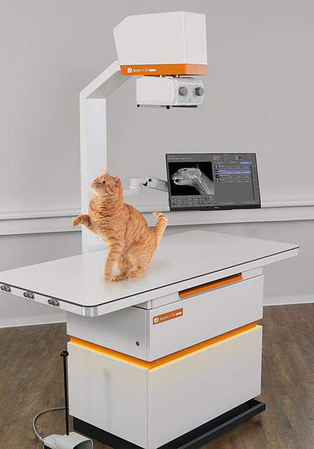 Small Animal DR equipment