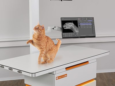 Small Animal DR equipment