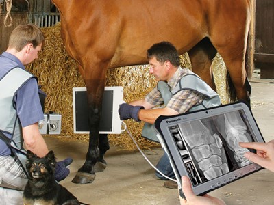 equine DR equipment