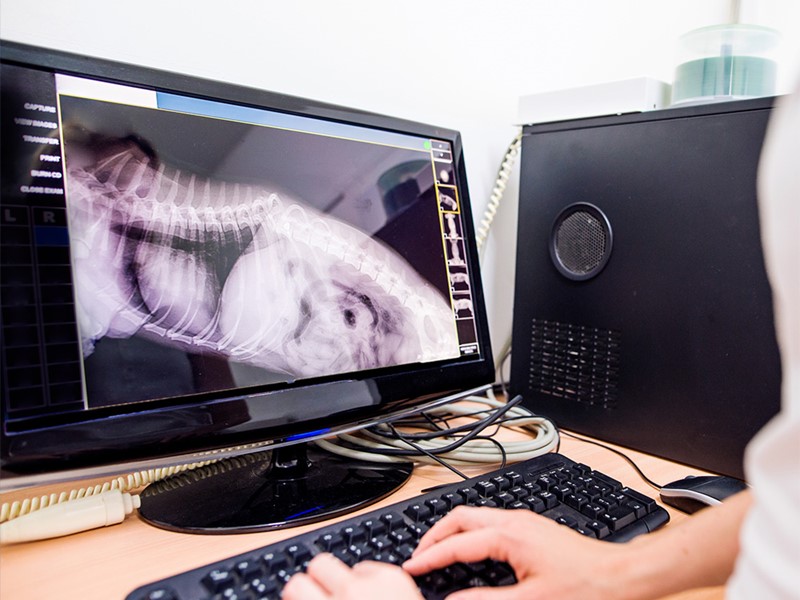 Digital X-Ray