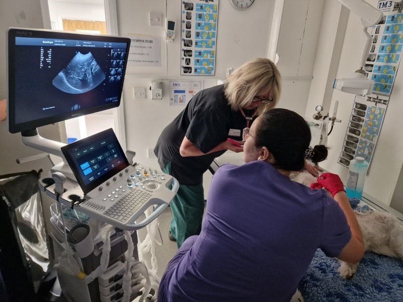 Ultrasound