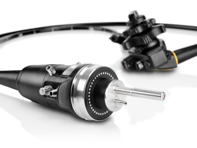 Veterinary endoscope