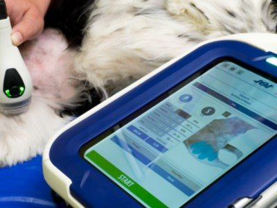 M-Vet Class 4 Therapy Laser